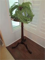 Wood fern/plant stand