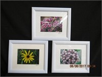 Framed photographs by Laurie Rushworth 12 X 10"