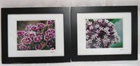 Framed photographs by Laurie Rushworth 17 X 14"
