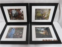 Set of 4 framed nature photographs 16.75 X 14"
