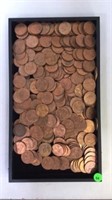 TRAY OF COPPER ONE CENTS PIECES