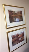 (2) framed watercolor prints