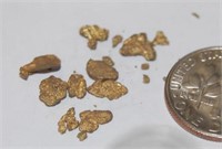 1.3 Grams of Nevada Placer Gold