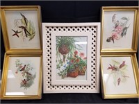 5PC FRAMED PRINTS BIRDS AND MORE