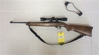 Ruger 10-22 Semi Auto Rifle w/ Simmons Scope