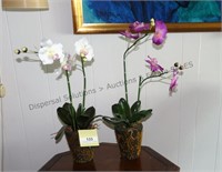 Potted Orchids x2 / artificial