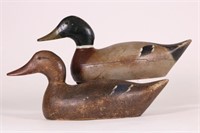 Pair of Hen & Drake Mallard Duck Decoys by Evans