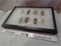 Arrowheads Collection in Riker Case