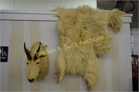 MOUNTAIN GOAT HEAD AND HIDE