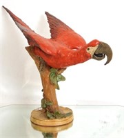 Jean Marie Falke Terra Cotta Red parrot