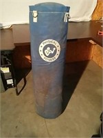Physical Fitness Punching Bag