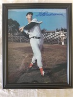 Ted Williams Autographed Picture