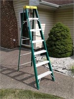 Davidson 7 foot fiberglass step ladder