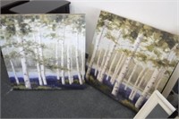 2 Canvas Pictures