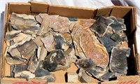 Large Box of Petrified Wood Mainly Cut Slabs