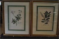 2- Botanical Lithographs