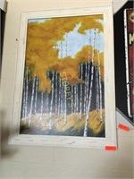 White Framed Forest Picture - 29" x 41" - $189