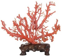 Large Natural Pink Coral Specimen