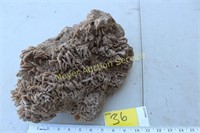 1 Large Piece of Coral