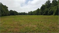 Tract 2- 78.76 Acres on Oakley Rd
