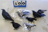 (6) Prop Crows, Black