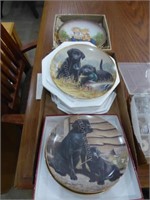 2 boxes collector plates