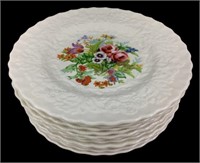 (11) Alfred Meakin Hand Painted Salad Plates