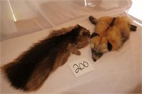 Fox and Beaver Pelt