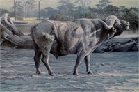 R. Bateman "Buffalo At Amboseli" Ltd Ed. 364/500