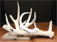 ANTLERS (3 PIECES)