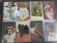 SELECTION OF CAT AND DOG VINTAGE POSTCARDS