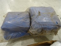 Large Tarp & 2 Cushions