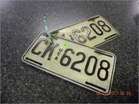 Government USA Pair of tags CK 6208