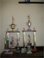 Lot of Trophies