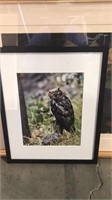 Print of an owl