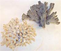 2 Pieces Of Coral