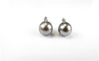 Black Cultured Pearl Earrings in 18K WG, Diamond