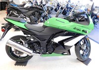 Kawasaki Ninja EX250 Sport Bike