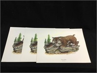 Lot of 3 Kentucky Wildcat Signed Prints