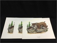Lot of 3 Kentucky Wildcat Signed Prints