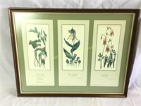 Framed and matted Ray Harm wildlife art
