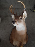 BUCK MOUNT