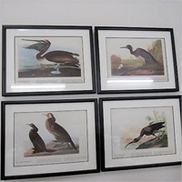 4- Framed Audubon Bird Prints #412, 421, 307 & 387