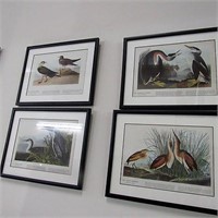 4 Framed Audubon Bird Prints #210, 272, 298 & 306