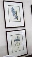 2 P.J. Redoute Botanical Prints 20x16 Framed