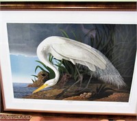 Audubon Great Egret Print 583/1000 w/Loates Emboss