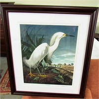 Audubon Snowy Egret Print 224/1000 w/Emb Seals