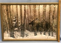 26.5x39" framed print of a moose in the wintertime