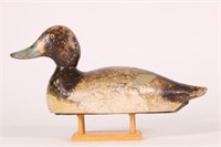 Bluebill Hen Duck Decoy by Evans Decoy Co. of