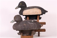 Pair of Hen and Drake Bluebill Duck Decoys by